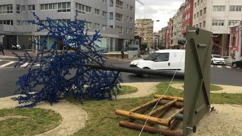 En A Coruña se cuentan varios árboles caídos como este, delante del colegio Salesianos
