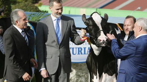 El rey Felipe VI y el presidente de Capsa y Clas, Bertino Velasco (d), con una vaca de la ganadería de Badiola