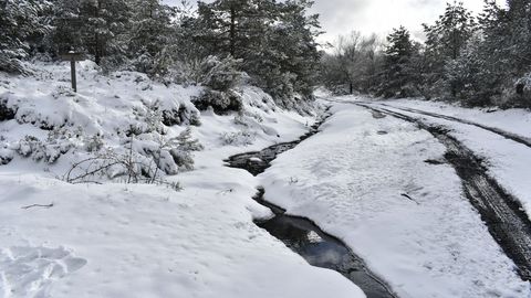 Otro aspecto del acceso al alto de Catro Cabaleiros des de A Pobra do Brolln, donde la nieve depositada sobre el suelo alcanz un notable grosor