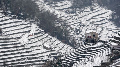 La nieve que deja el temporal cubre los bancales de las viñas de la Ribeira de San Fiz.