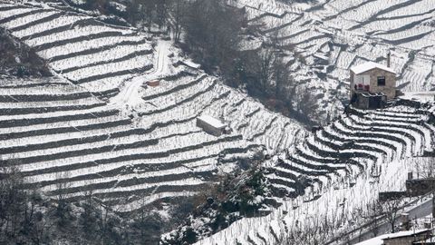 La nieve que deja el temporal cubre los bancales de las viñas de la Ribeira de San Fiz.
