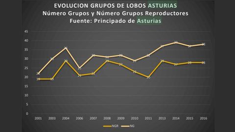 Evolucin de los grupos de lobos en Asturias