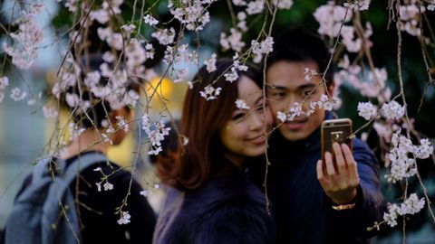 UNa pareja se saca una foto junto a un cerezo floreado