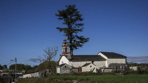 Junto a la iglesia de San Martiñio se alzan dos grandes cedros