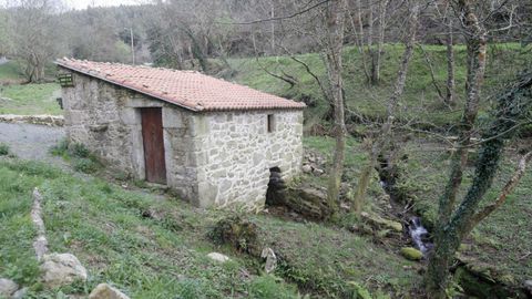 Ruta de los molinos de Esmelle. Algunos reconstruidos gracias a los vecinos, la orilla del río más largo de Ferrol ofrece multitud de construcciones y el resto de un bosque de ribera entre multitud de eucaliptos