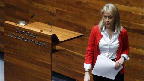 La expresidenta de Foro, Cristina Coto, anunci su dimisin en junio tras ser desautorizada por la Comisin Directiva del partido en relacin a su decisin de cambiar la situacin laboral de una de las asesoras del grupo parlamentario.