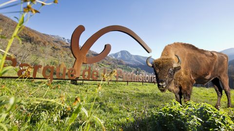 Bisonte en el Parque de la Prehistoria 