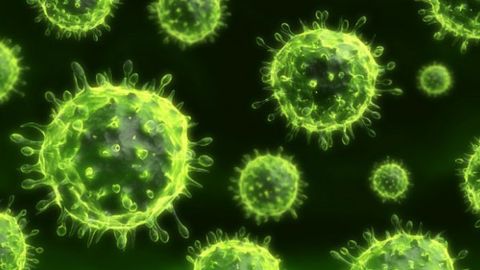 Virus del Nilo Occidental