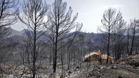 Vista de una de las viviendas afectadas por el incendio forestal de Llutxent en la zona de la Marxuqera (Gandía).