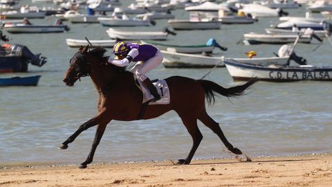 Un momento de una de las pruebas del primer ciclo de la 173ª edición de las carreras de caballos en las playas de Sanlúcar de Barrameda (Cádiz), que se desarrolla desde hoy hasta el viernes en esta localidad gaditana.