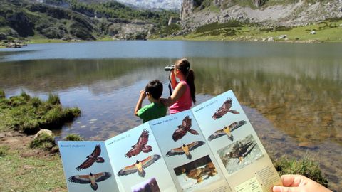 asturias, turistas, turismo de observación, turismo de naturaleza.Turistas observan el vuelo del quebrantahuesos