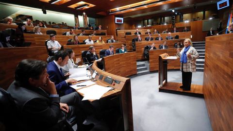 El pleno de la Junta General