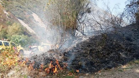Uno de los incendios forestales declarado en Asturias