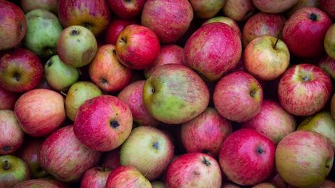 El proceso de tratamiento de la manzana y elaboracin de la sidra en Asturias