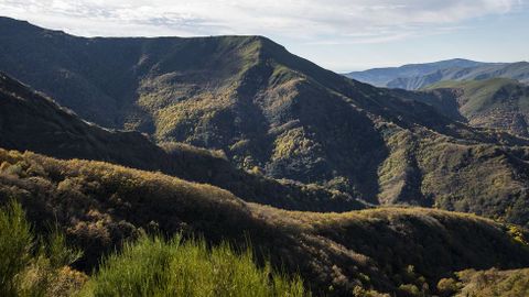 Una vista del monte Formigueiros, en cuya falda se encuentra la Devesa da Rogueira, el bosque más célebre de la sierra