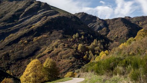Un aspecto de los montes de Visuña, en O Courel