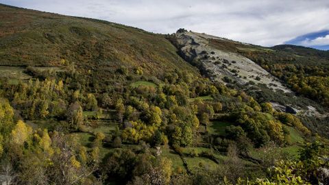 Vegetación en torno a un afloramiento de roca caliza en el monte de Taro Branco