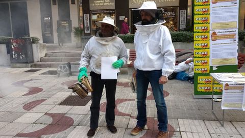 Protesta en Oviedo organizada por los apicultores