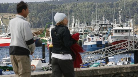 Puerto de Celeiro está recibiendo numerosas consultas sobre un programa pionero en toda España