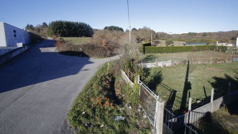 Detrás de la zona comercial. Los jabalíes que salen a Duquesa de Lugo se refugian muy posiblemente en la zona arbolada que hay detrás de varias naves comerciales de As Termas. óscar cela