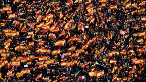 Las banderas de España fueron el elemento que más se repitió durante la manifestación
