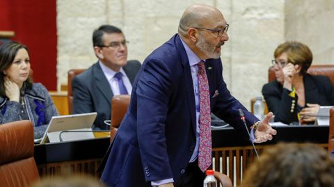 El portavoz de Vox en el parlamento andaluz, Alejandro Hernández