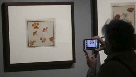 Los estudios botánicos fueron otra de las aplicaciones del dibujo
