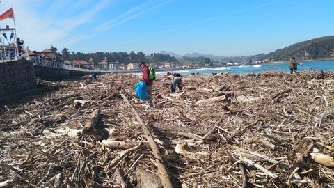 La playa de Ribadesella, llena de madera arrastrada por las riadas