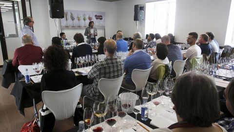 Fevino, primera cata: 8 vinos de 100 Puntos Parker, con Luis Gutiérrez
