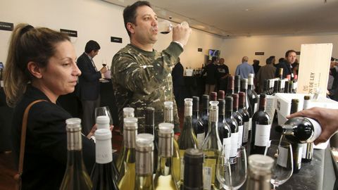 Fevino, cata en el túnel del vino