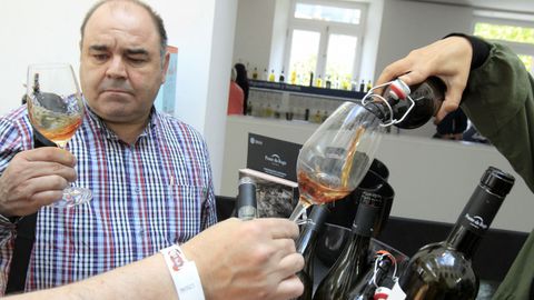 Túnel del vino en Fevino