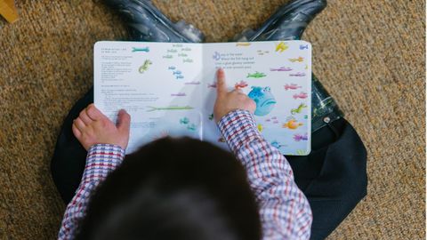 Llectura infantil