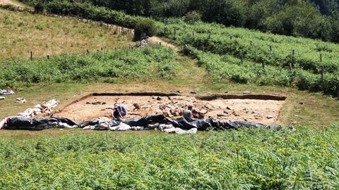 El yacimiento de L'Españal, en San Martín del Rey Aurelio