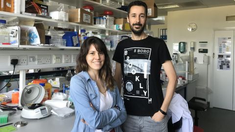 Los investigadores Clea Brcena y Pedro M. Quirs