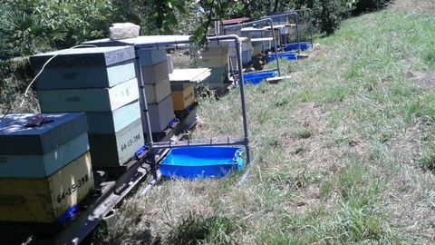 Arpas eléctricas para proteger las colmenas de los ataques de velutina