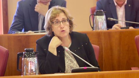 Olga Alonso (PSOE) es portavoz en la de Iberoamérica y secretaria en la de Educación