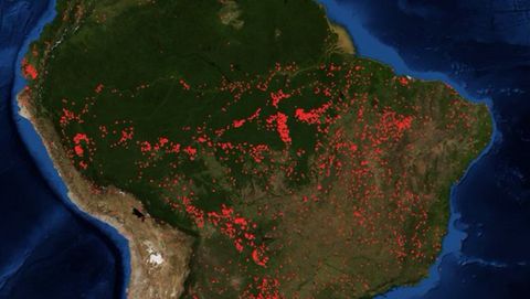 Incendios activos en la selva amazónica