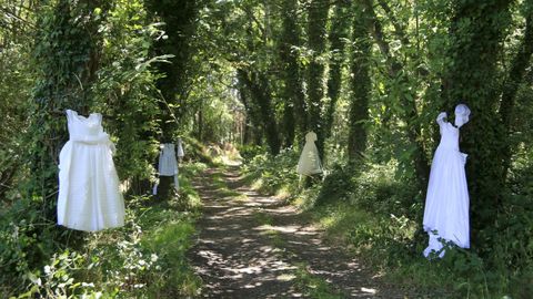 Los operarios de limpieza han quitado los vestidos del camino de Muxa