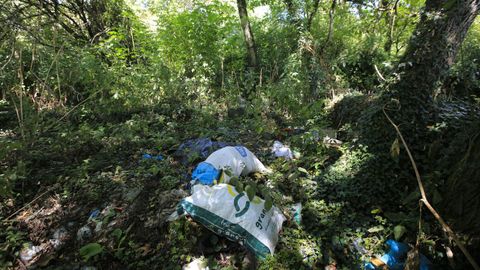 El entorno de San Lázaro está lleno de maleza y basura