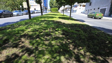 La mediana de la Ronda do Carme, visiblemente dañada por los jabalíes