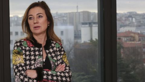 Fue nombrada Conselleira de Facenda en la primera legislatura de la era Feijoo y cesada tres años más tarde. Ocupó entonces la Secretaría de Estado de Presupuestos y Gastos durante el Gobierno de Mariano Rajoy. Ahora es consultora