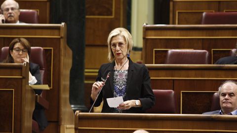 Rosa Díez, durante una intervención parlamentaria en el 2015