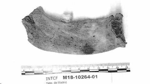 Fragmento de mandbula encontrado en la sima del macizo de ndara