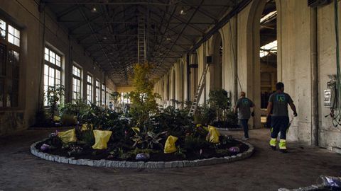 Montaje del Jardín Sensorial, en el edificio del almacén de la Fábrica de Armas de La Vega