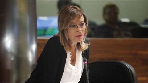 La portavoz de IU en el parlamento asturiano, ngela Vallina