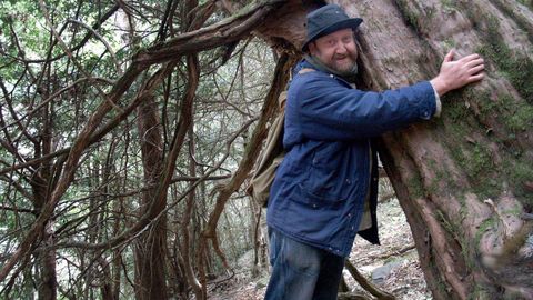 casaio bano.TEIXADAL DE CASAIO. En la comarca de Valdeorras, 300 tejos forman el que puede ser el bosque más antiguo de Galicia