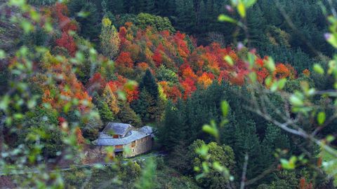 marronda.FRAGA DA MARRONDA: Este es un ejemplo excepcional de bosque autóctono gallego, con sus árboles caducifolios, en otoño es todo un espectáculo. Está en Baleira (Lugo)