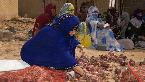 Campamentos de refugiados saharuis en Tinduf