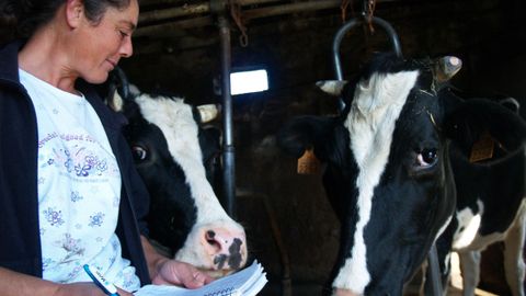 anar. «Leo cousas que non son reais. A aldea é a aldea, algo natural. É como se a un animal o queres cambiar. Non podes pretender que nunha aldea cheire a perfume de Chanel todos os días», subliña Ana