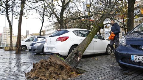 Efectos del viento en Vigo